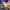 https://res.cloudinary.com/billionhands/image/upload/v1775546452/items/vc6xgsnmritmbdvpxhoy.jpg-2cover