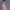 https://res.cloudinary.com/billionhands/image/upload/v1775546501/items/zdsacjab8srih0pwllqg.avif-0cover
