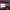 https://res.cloudinary.com/billionhands/image/upload/v1775546586/items/oamcmufevxhlxdvubwb5.jpg-3cover