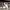 https://res.cloudinary.com/billionhands/image/upload/v1775546603/items/fugnib2wgucktma8go6i.jpg-2cover