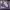 https://res.cloudinary.com/billionhands/image/upload/v1775546604/items/plyz5lqzr1oh3bwkucte.avif-3cover