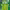 https://res.cloudinary.com/billionhands/image/upload/v1775546662/items/assefsdmlfneuomzofqx.webp-2cover