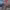 https://res.cloudinary.com/billionhands/image/upload/v1775546778/items/wruyqcgvu0nnfifeecyi.jpg-1cover