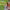 https://res.cloudinary.com/billionhands/image/upload/v1775546864/items/gzc4bvtcb0h3htqfziul.png-2cover
