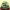https://res.cloudinary.com/billionhands/image/upload/v1775546898/items/xaaijkapjf9uunpidsfj.jpg-0cover