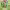https://res.cloudinary.com/billionhands/image/upload/v1775546972/items/vncjcj3gm9lf9kcssici.png-3cover