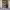 https://res.cloudinary.com/billionhands/image/upload/v1775547032/items/pcedis8oydy7cfyphtrv.webp-2cover