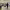 https://res.cloudinary.com/billionhands/image/upload/v1775547391/items/lrroj4viepmawxkwliv0.jpg-2cover