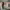 https://res.cloudinary.com/billionhands/image/upload/v1775547392/items/ltvjzsc7eih2u1blxis3.jpg-2cover