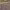 https://res.cloudinary.com/billionhands/image/upload/v1775547504/items/mipns0iiohhpmsd6s0wk.jpg-3cover