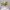 https://res.cloudinary.com/billionhands/image/upload/v1775547510/items/cjqxt0h193ldxurgtb2g.avif-3cover