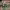 https://res.cloudinary.com/billionhands/image/upload/v1775547517/items/g66bz19ekthdtecv3naa.jpg-1cover