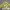 https://res.cloudinary.com/billionhands/image/upload/v1775547543/items/xi9tsjqggqxpbl2hb7hz.jpg-3cover