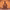 https://res.cloudinary.com/billionhands/image/upload/v1775547577/items/m8eepa5ett0ath43xb4a.webp-3cover