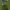 Body Cameras for Referees (Ref Cams / Referee's View) (2026) cover