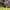 https://res.cloudinary.com/billionhands/image/upload/v1775547642/items/lxbmsaepfz6wxi0vyvq5.jpg-1cover