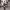 https://res.cloudinary.com/billionhands/image/upload/v1775547666/items/tgymnmy237i5sm4taexl.jpg-0cover