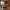 https://res.cloudinary.com/billionhands/image/upload/v1775547802/items/yk7qit8vbpv1dnqyzr5z.jpg-1cover