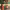 https://res.cloudinary.com/billionhands/image/upload/v1775547823/items/v2ve5r4madujfye6ddyi.png-2cover