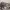 https://res.cloudinary.com/billionhands/image/upload/v1775547843/items/nxamqjwe86i6muxybs8w.jpg-2cover