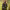 https://res.cloudinary.com/billionhands/image/upload/v1775547960/items/kezcasntifx6vbdlbveg.jpg-0cover