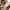 https://res.cloudinary.com/billionhands/image/upload/v1775547987/items/biug2u8pm1hpeocjayjq.webp-0cover