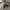 https://res.cloudinary.com/billionhands/image/upload/v1775548097/items/eoglcrwngp4wbel74bwc.jpg-0cover