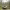 https://res.cloudinary.com/billionhands/image/upload/v1775548114/items/vossyqzrvuzilpgyeeqp.jpg-1cover