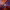 https://res.cloudinary.com/billionhands/image/upload/v1775548132/items/e22lmh3qgfgfsfrdp7vf.jpg-1cover