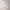https://res.cloudinary.com/billionhands/image/upload/v1775548500/items/iiz2qfklpwtcb3opbzrk.webp-2cover