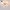 https://res.cloudinary.com/billionhands/image/upload/v1775548506/items/cvz6wsezut6z49mcj4hw.jpg-1cover