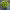 https://res.cloudinary.com/billionhands/image/upload/v1775548684/items/txacw4sbbkgdugkfqyua.jpg-2cover