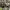 https://res.cloudinary.com/billionhands/image/upload/v1775548766/items/mwhcqarbopztemc3zxcm.jpg-2cover