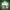 https://res.cloudinary.com/billionhands/image/upload/v1775548767/items/wb9oxzf5mcoqmaraymxq.jpg-2cover