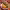 https://res.cloudinary.com/billionhands/image/upload/v1775548855/items/vmjdcvmwgdxldbm6oxxt.jpg-1cover
