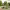 Leyton Square Pocket Park Playground (Peckham, Londres) cover