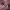https://res.cloudinary.com/billionhands/image/upload/v1775548928/items/n3oqndrofogzwvkmqzab.jpg-1cover