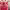 https://res.cloudinary.com/billionhands/image/upload/v1775548930/items/gt9g9fsjlzpo9jxr7syw.webp-2cover