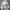 https://res.cloudinary.com/billionhands/image/upload/v1775549192/items/nnehswsxweecgyf57tb1.png-1cover