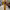 https://res.cloudinary.com/billionhands/image/upload/v1775549208/items/dgrvbnqnlqjaextysagm.jpg-2cover