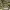 https://res.cloudinary.com/billionhands/image/upload/v1775549276/items/bzpg0wnwlgjjj79tggxd.jpg-2cover