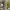 https://res.cloudinary.com/billionhands/image/upload/v1775549276/items/lvfmtnbb1tbhmfrz8s5n.webp-2cover
