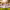 https://res.cloudinary.com/billionhands/image/upload/v1775549332/items/thdkwb4kymgkr6sep07w.webp-3cover