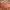 https://res.cloudinary.com/billionhands/image/upload/v1775549598/items/cy91e1svvfxxurdrkna6.webp-2cover