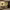 https://res.cloudinary.com/billionhands/image/upload/v1775549605/items/duauupiecztvh1m3f49s.jpg-0cover