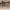 https://res.cloudinary.com/billionhands/image/upload/v1775549606/items/gqrqfw7lbqosrtthghkm.jpg-2cover