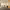 https://res.cloudinary.com/billionhands/image/upload/v1775549607/items/jstd1u8mlokgkfeoo0dm.jpg-1cover