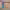 https://res.cloudinary.com/billionhands/image/upload/v1775549608/items/echoxxmneggbas4axgac.jpg-3cover