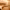 https://res.cloudinary.com/billionhands/image/upload/v1775549699/items/c4syos5m7pvw5nricuvs.jpg-0cover