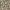 https://res.cloudinary.com/billionhands/image/upload/v1775549705/items/acxrrbujyalhgr21zufc.jpg-2cover